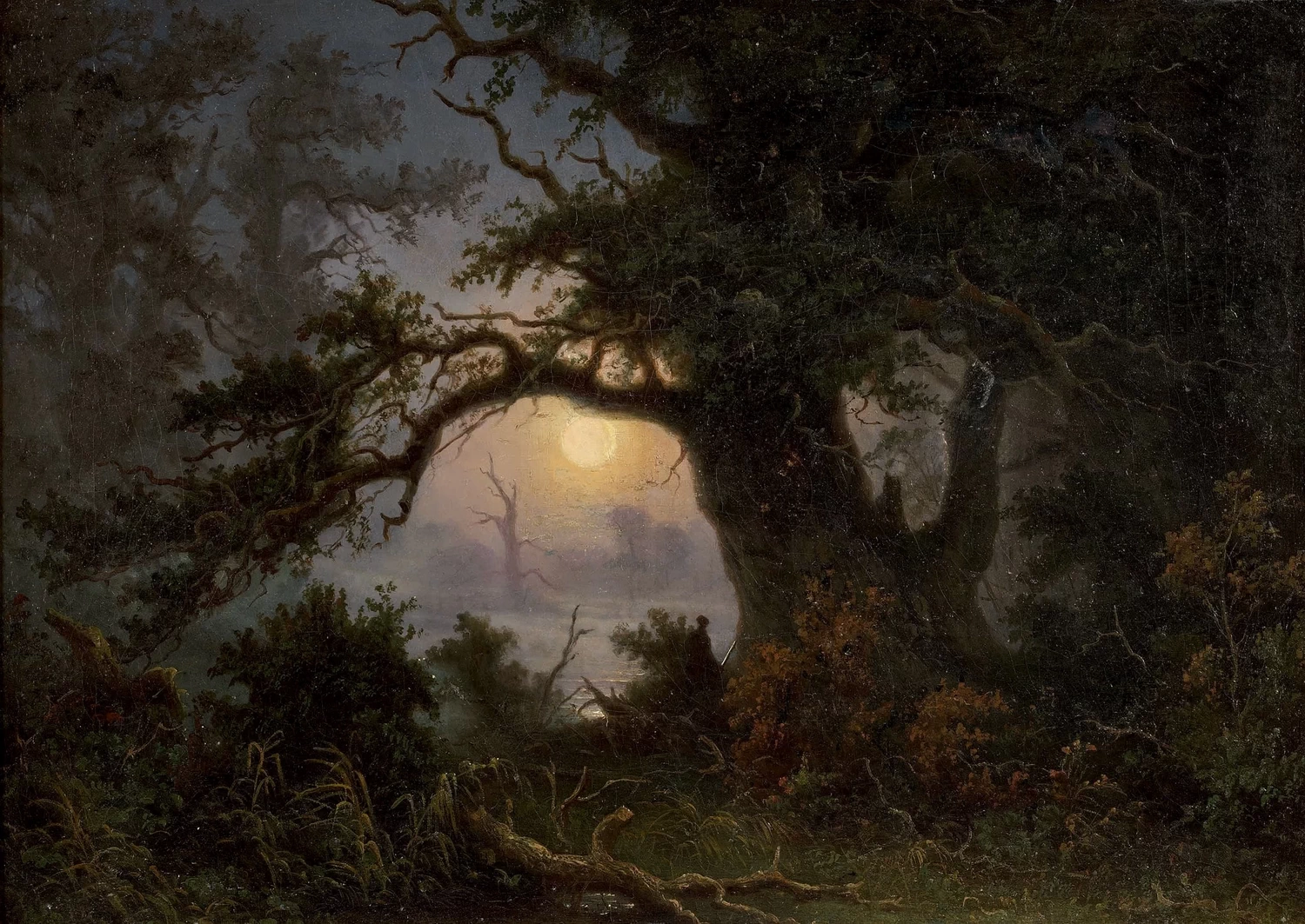 Paesaggio con palude al chiaro di luna